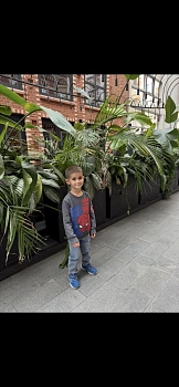 Крахин Тимур Сергеевич