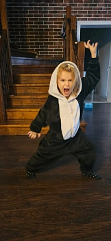 Жабровец Анастасия