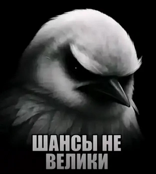 Мурашов Даниил