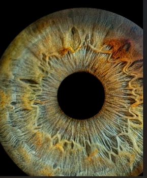 Татьяна Владимировна