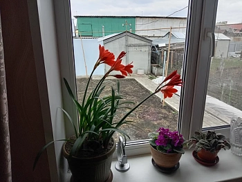 Михаил Скрипач